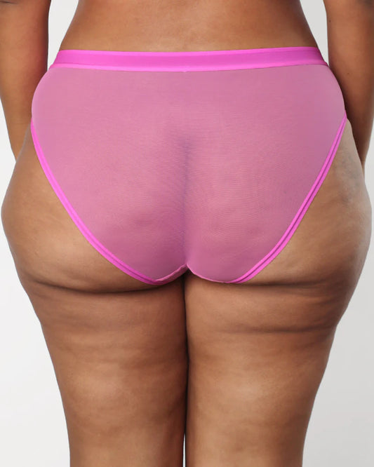 CURVY COUTURE SHEER MESH HIGH-CUT BRIEF: FLIRT
