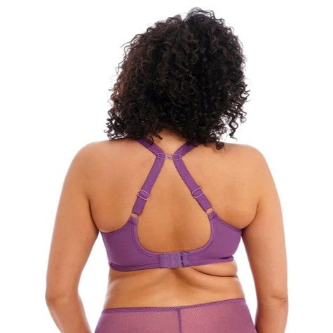 ELOMI CHARLEY PLUNGE: PANSY