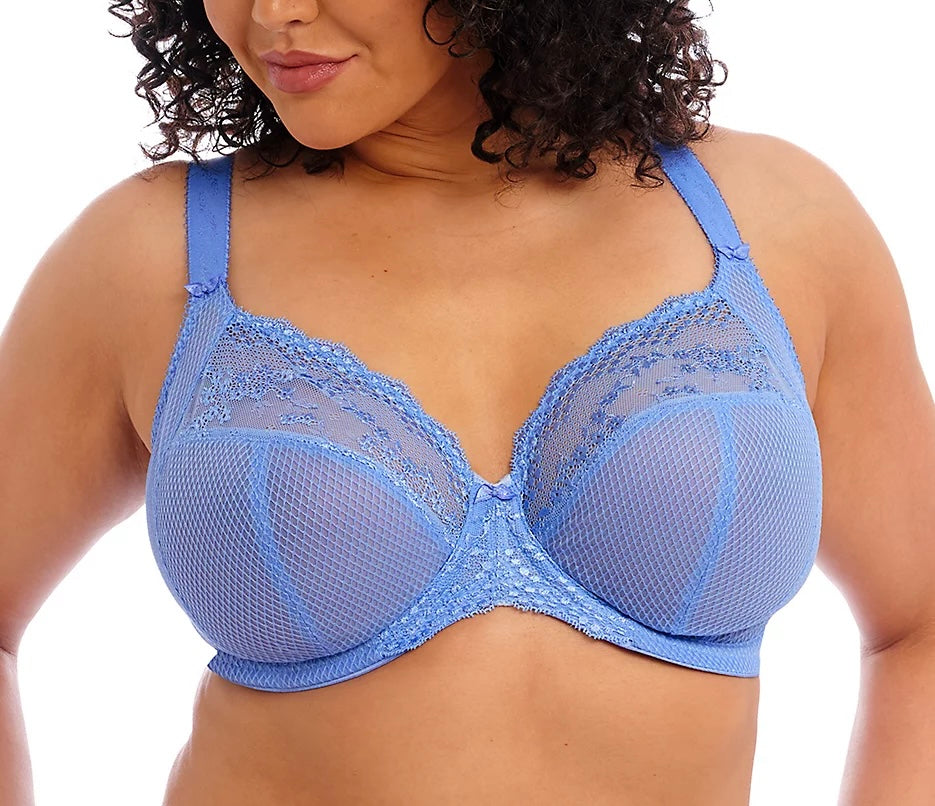 ELOMI CHARLEY STRETCH LACE PLUNGE: CORNFLOWER