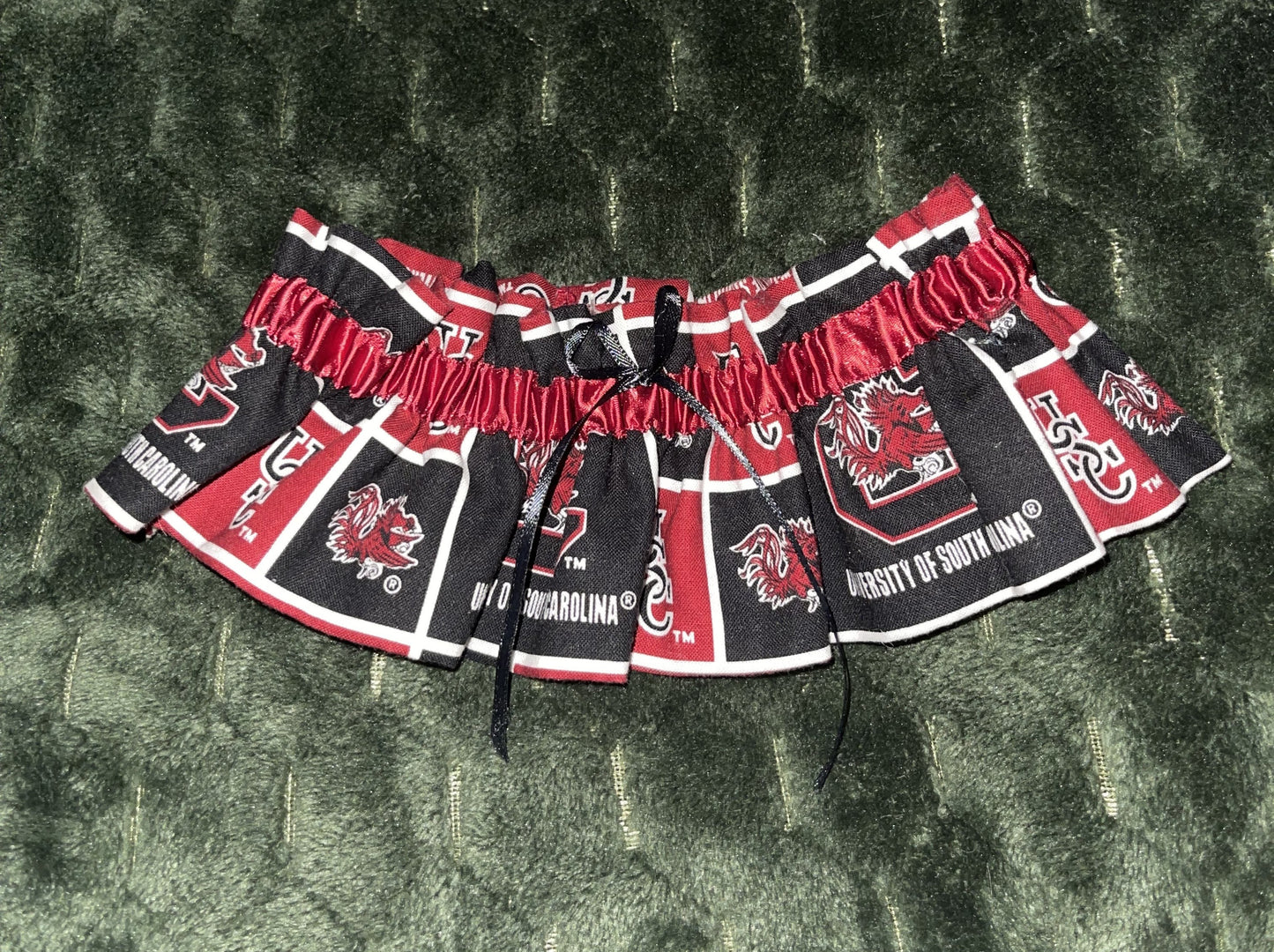 TEAM GARTER: UNIVERSITY OF SOUTH CAROLINA