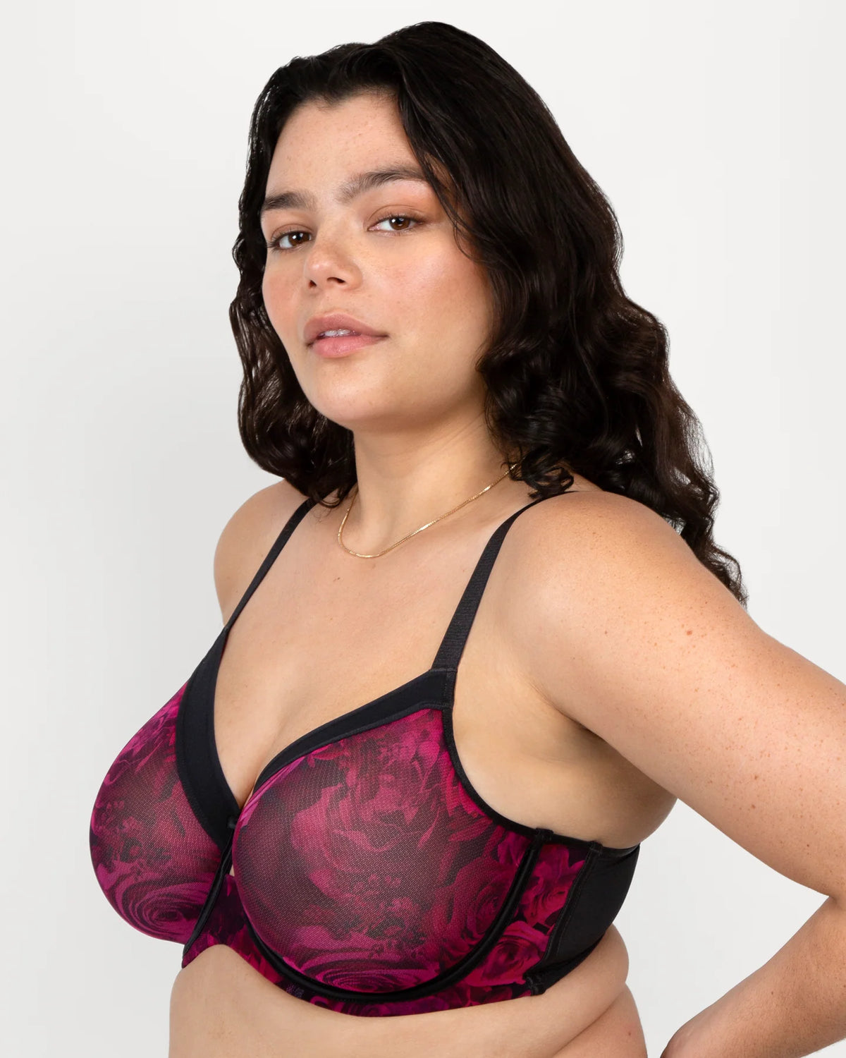 CURVY COUTURE SHEER MESH: DRAMATIC ROSES