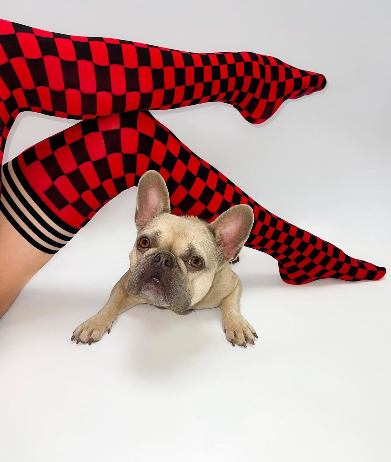 KIX'IES GAME DAY RED & BLACK THIGH HIGHS