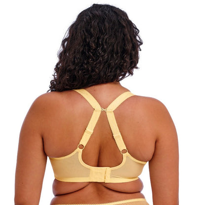 ELOMI CHARLEY PLUNGE: LEMON FIZZ