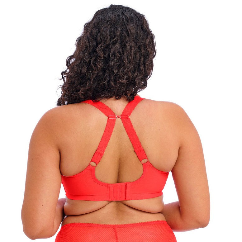 ELOMI CHARLEY PLUNGE: SALSA