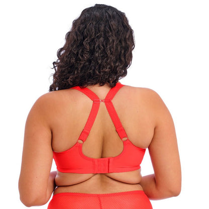 ELOMI CHARLEY PLUNGE: SALSA