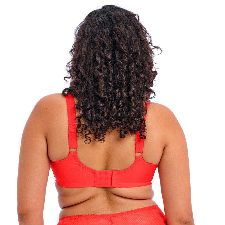 ELOMI CHARLEY PLUNGE: SALSA
