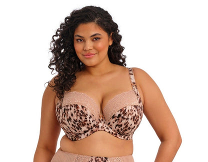 ELOMI LUCIE PLUNGE: WILDCAT