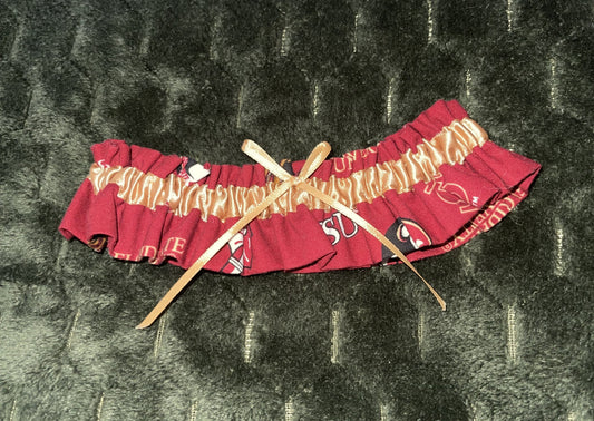 TEAM GARTER: FLORIDA STATE SEMINOLES