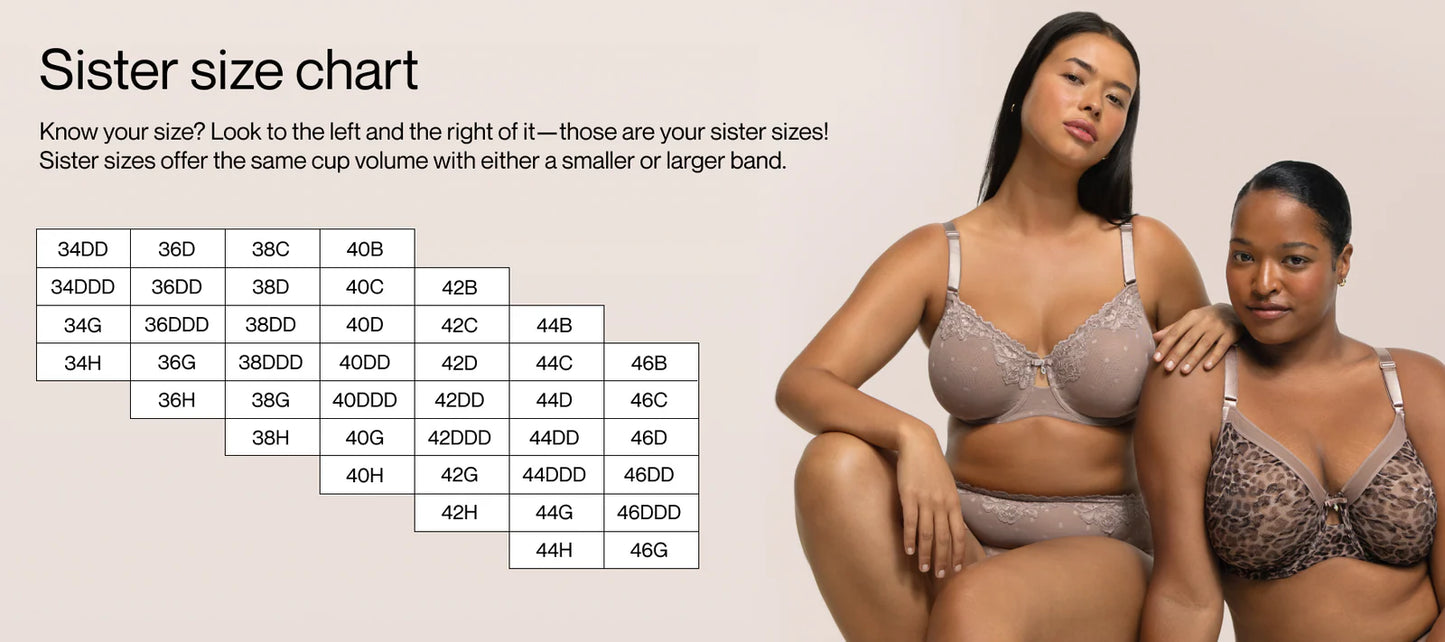 CURVY COUTURE LUXE LACE WIRELESS: BALLET FEVER